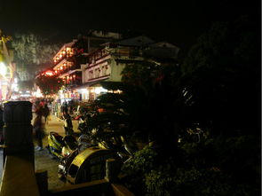 深夜的惊魂与旅行的隐喻