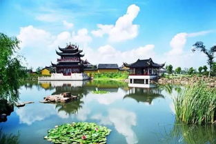 ⑤ 噪音混合段落—随机表情符号&英文单词