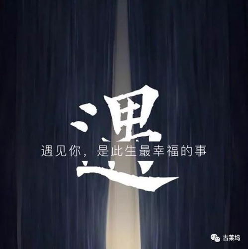 星座爱情里的那些