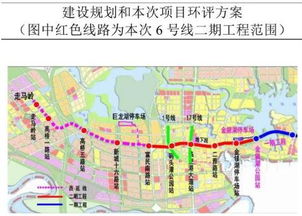 金山公园：蚊子们的五星级自助餐厅