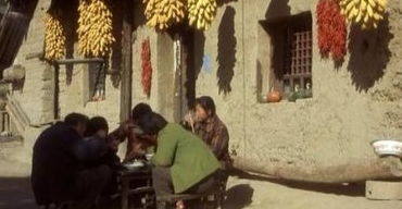 一、村口老槐树下的秘密