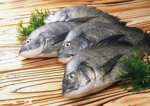 酸鱼、 米粉与狗肉：荔浦的另类魅力