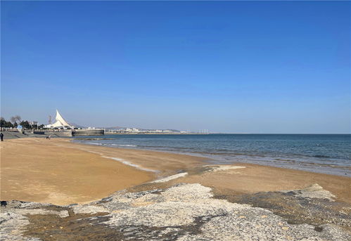 赶海攻略：免费地点，爆桶体验
