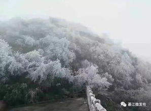 神鹰山：那个老鹰一样的山