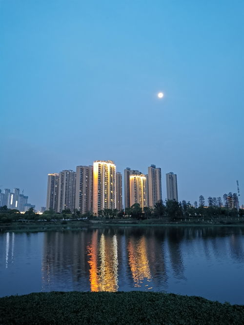 墨水湖公园：武汉市中心的较大型绿洲