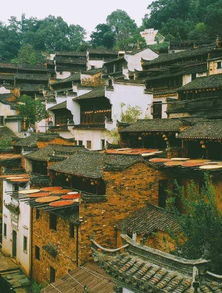 时间玄学：避开人潮的魔咒