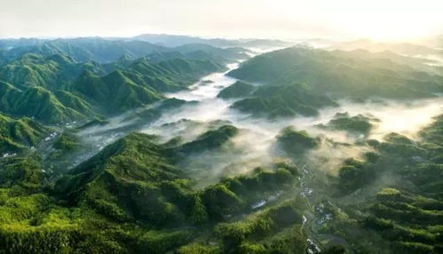 七、 旅行小贴士与注意事项