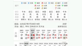 八字相同做官实例，有哪些具体的长相和经历可以参考？
