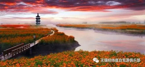千垛景区：美照背后的血泪史