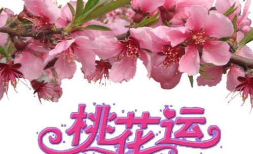 脱单秘籍：古老方法助你快速招来桃花运