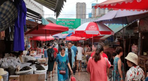 较小摊贩的故事：从青石板到塑料地