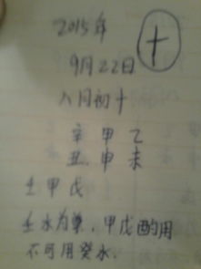 二、字的选择？随便啦！