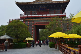 游览攻略， 让旅程更顺畅