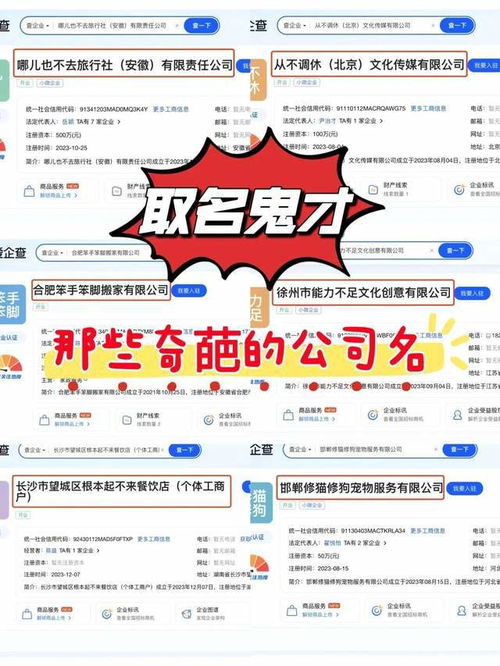 命名中的“噪声”——它们是错误还是灵感？