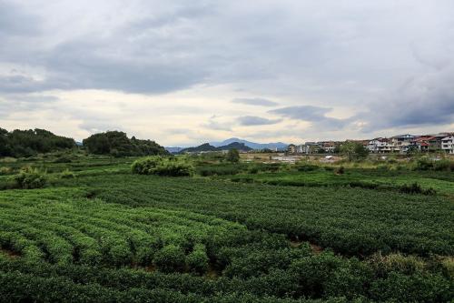 什么叫三合风水,什么叫三合风水