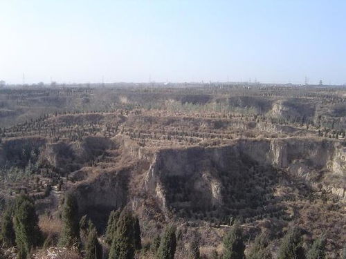 风水禁忌与阴宅选址的奥秘