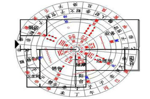 要素四：植物要够大！叶子要比脸大！