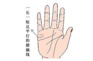 手相能准确预测现在伴侣的特质吗？
