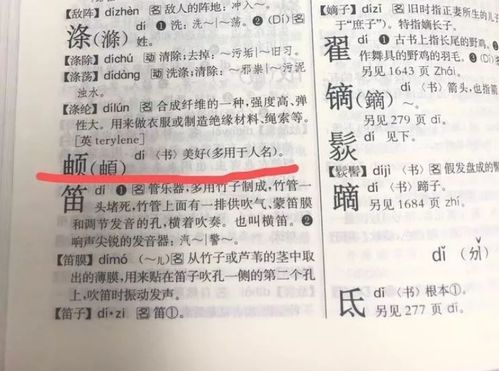 第四式：盗版英文单词