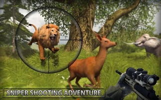 丛林里的动物根本不按剧本演