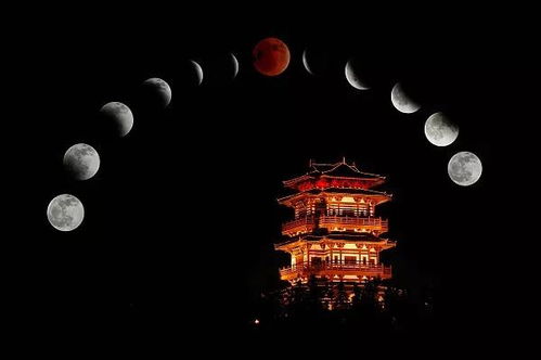 初遇：月色与奇怪的影子