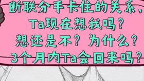 如何应对八字男命中爱说谎的伴侣？