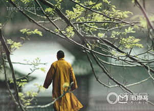 哎呀，这静思禅修景点，到底叫啥名字啊？（谁了解呢呃！）