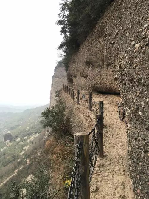 体验险峻：翠云廊的惊险刺激