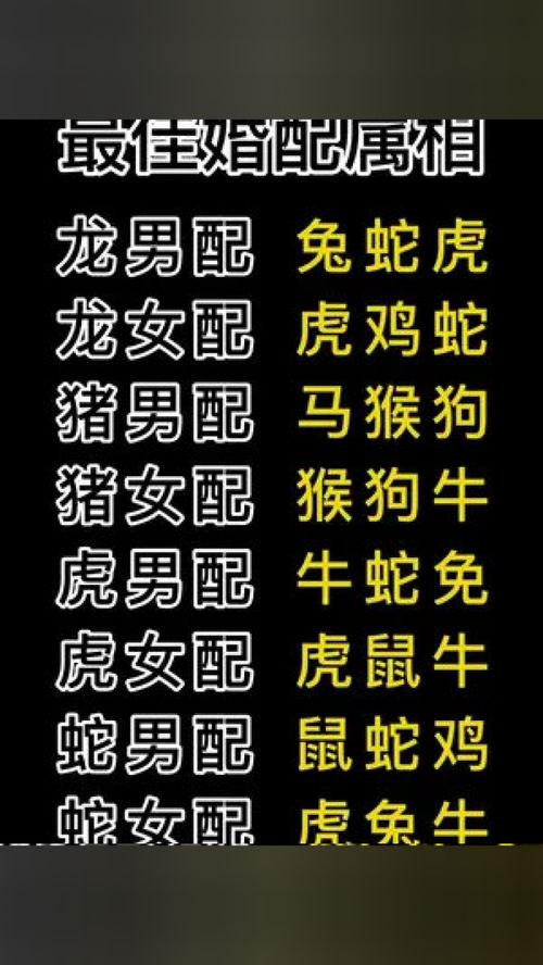 生肖属鼠的最佳婚配