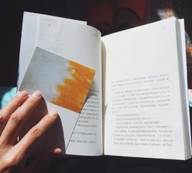 2026年玄学复合日历