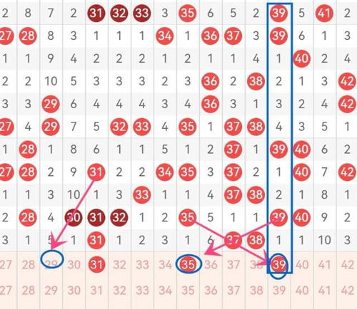 二八共享得四五是哪个生肖，你能告诉我吗？
