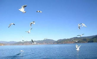 行程二：深度七日游（慢慢悠悠）