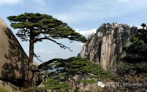 3.3 燃气点燃与调节（点火也可以很艺术）