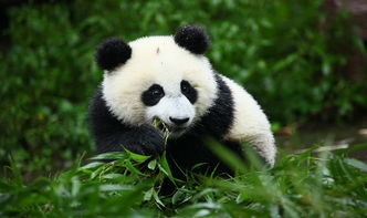 让人血压飙升的门票价格