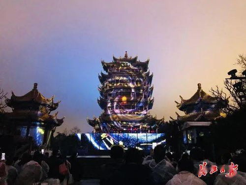 美食探秘：烤肉、沙拉和意想不到的味道