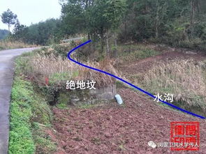 这个广西桂平未葬风水大地，中国广西桂平风水名坟究竟隐藏着怎样的神秘力量？