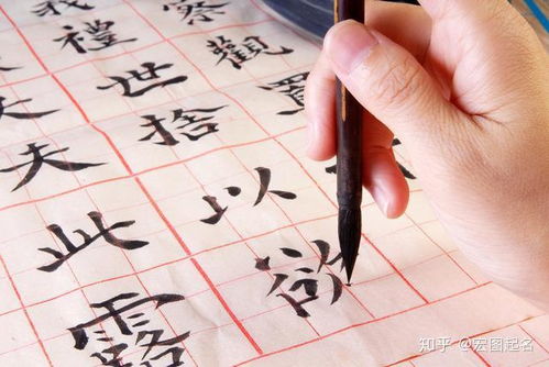 二、实践技巧——怎样一步步细化推测过程？