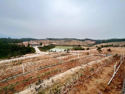 梅州至韶关沿国道赏客家风情，下一站是哪里游览？