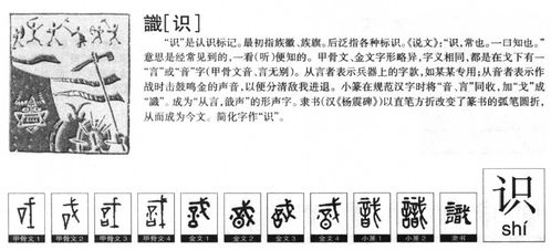 五行属水的水泥字
