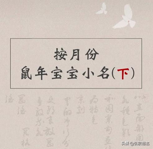 怀着复杂的心情寻找灵感：一场无意义的搜索