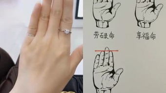 土型手与水型手：性格差异与婚配分析