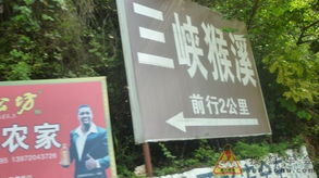 第二节：途中——江汉路吃货打卡与咖啡香氛混搭