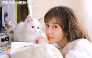救命！我家鱼缸里的鱼又emo了