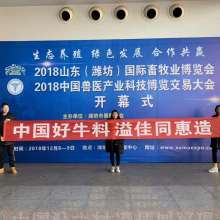 聊城较高唐吉瑞食品有限公司：一个神秘的存在