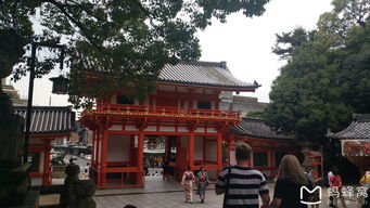 晨游奈良鹿园， 体验日本传统文化