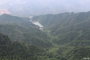 森林步道——迷路与冥想双沉重体验
