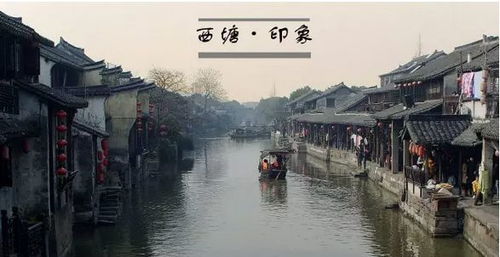一、 拙政园：雨后清幽的心跳