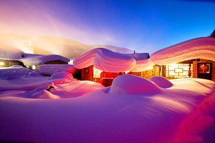 一、哈尔滨冰雪盛宴概述