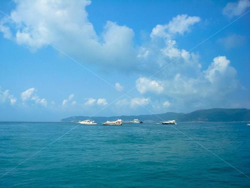 海岛活动：花钱找罪受大全
