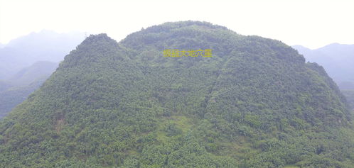 Zui厉害的风水派别,Zui厉害的是哪位